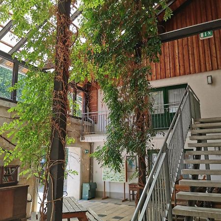 Landhotel Schaferhof Langenstein Eksteriør bilde